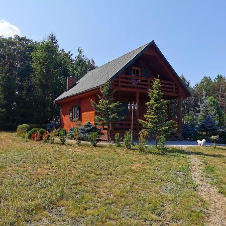 Domek Na Wsi Nad Jeziorem , Prywatny Staw Kamienczyk Dezerta Buitenkant foto